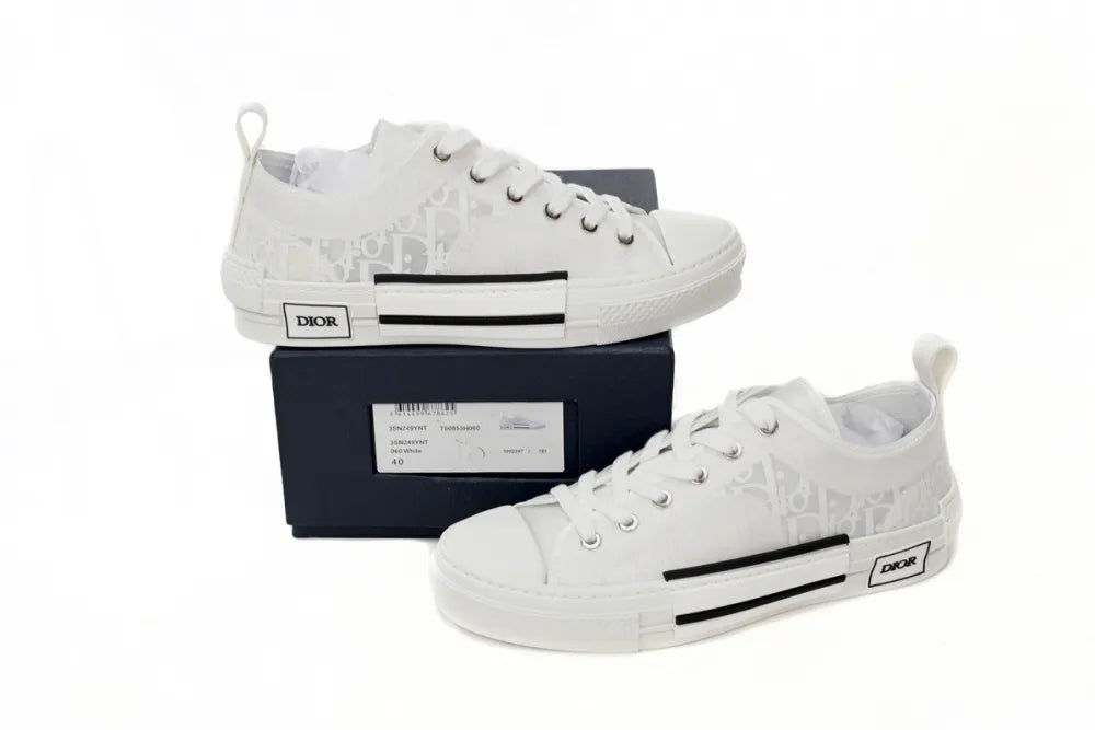 DIOR B23 LOW SILVER