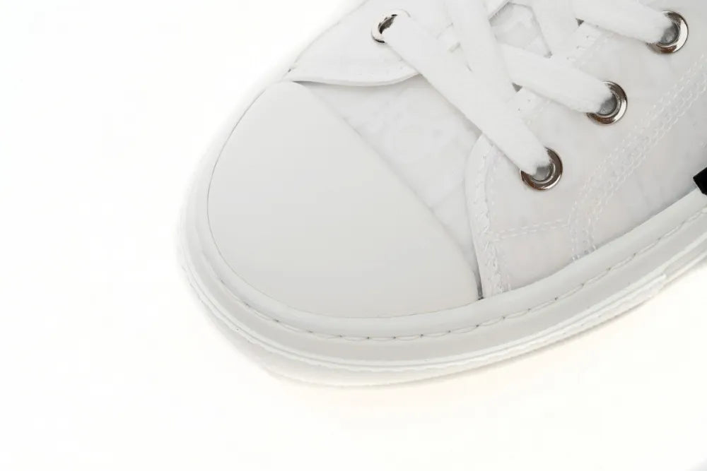 DIOR B23 LOW SILVER