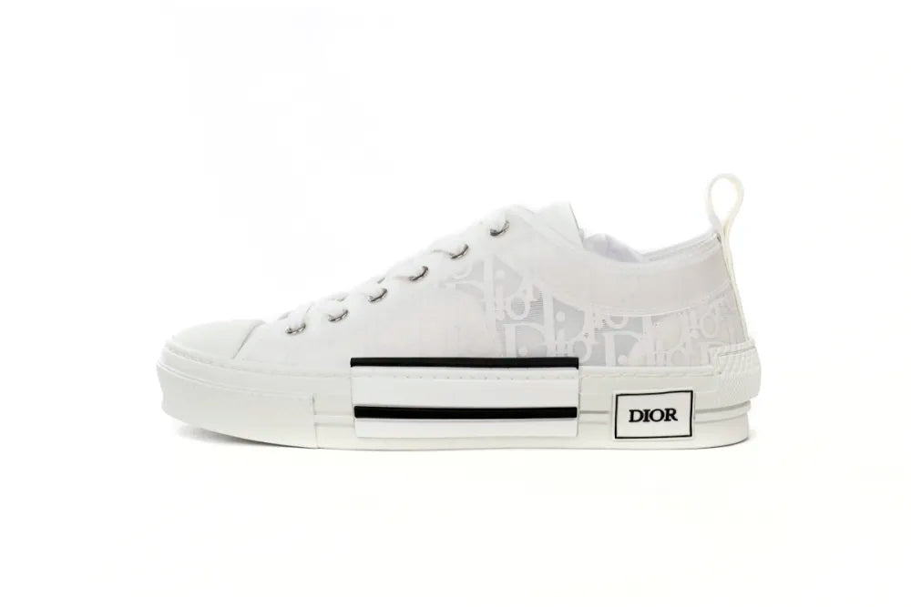 DIOR B23 LOW SILVER