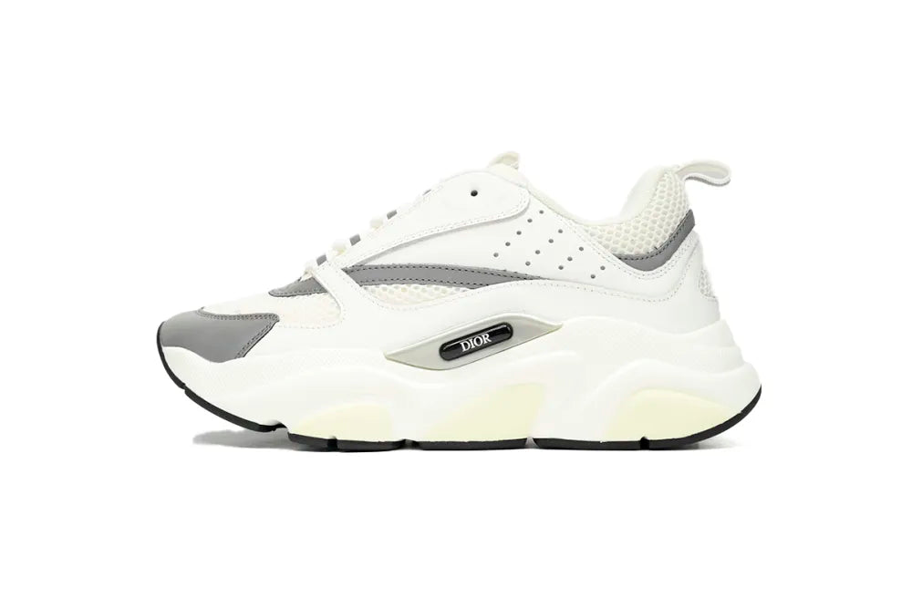 Dior B22 branco e cinza