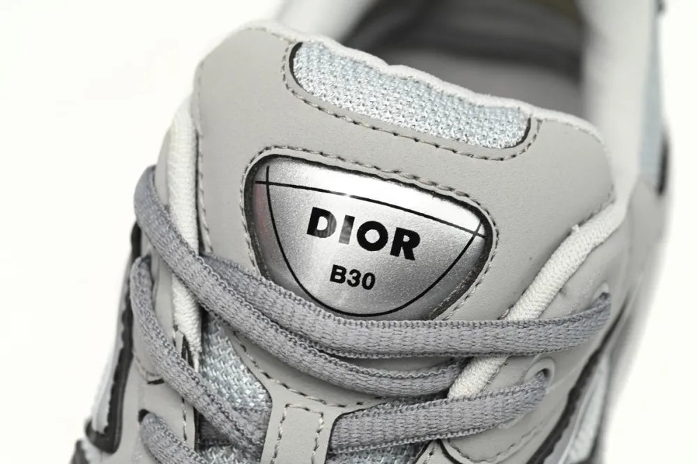 DIOR B30 SILVER