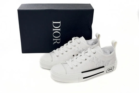 DIOR B23 LOW SILVER