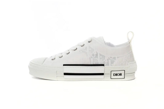 DIOR B23 LOW SILVER